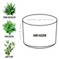Succulent Plant Gift - Pot with Rooted in Christ Design