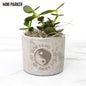 Succulent Plant Gift - Pot with Rooted in Christ Design