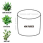 Succulent Plant Gift - Pot with Rooted in Christ Design