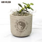 Succulent Plant Gift - Pot with Rooted in Christ Design