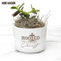 Succulent Plant Gift - Pot with Ying and Yang Design
