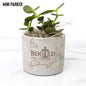 Succulent Plant Gift - Pot with Ying and Yang Design
