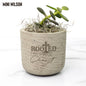 Succulent Plant Gift - Pot with Ying and Yang Design