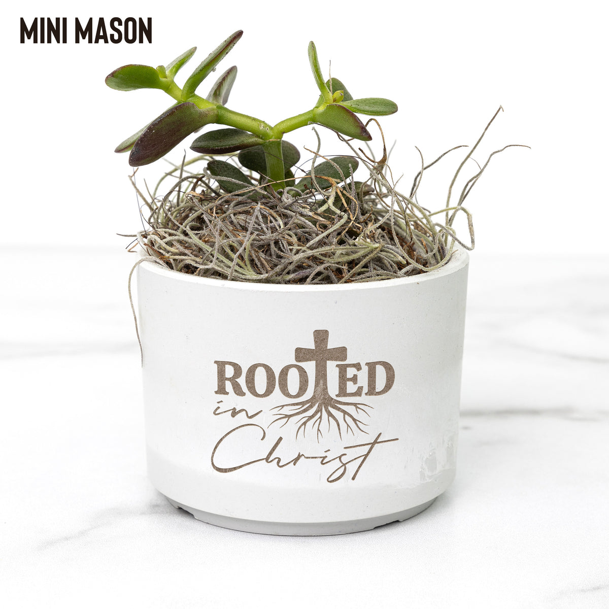 Succulent Plant Gift - Pot with Ying and Yang Design