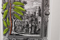 Ficus maledieta, Bible Illustrations, Devotional Decor, Frame Size 18x24 Matted to 13x19 Artwork, illuminated Manuscript, Esoteric Art, Rosicrucian, Free Mason, Sacred Geometry Art