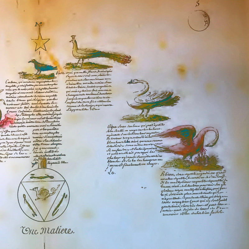 Illuminated Manuscript, Esoteric Art, Sacred Geometry Art, Manly P Hall, Occult Book, Rosicrucian, Free Mason, Alchemy Print